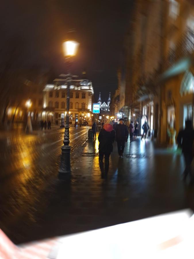 Апартаменти У Шевальє. Leopoli Esterno foto